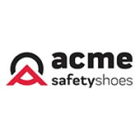 Acme Universal Safezone 9 Limi Share Price